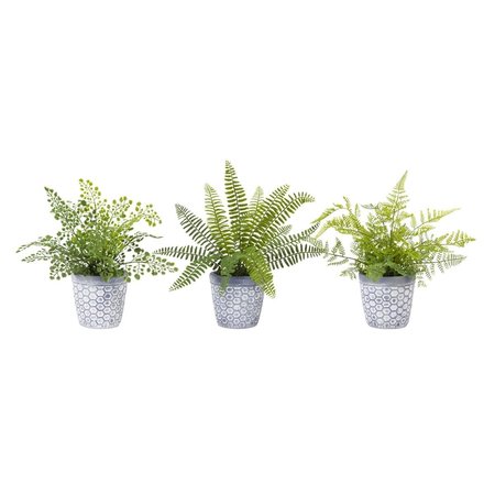 INTERNATIONAL DS 11.5 in. Plastic Fern Potted 78519